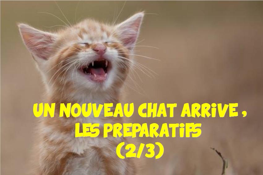 rencontre chat animaux